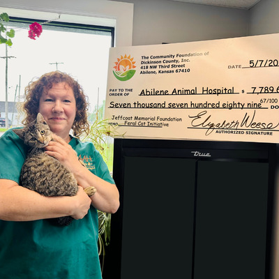 Abilene Animal Hospital  Feral Cat