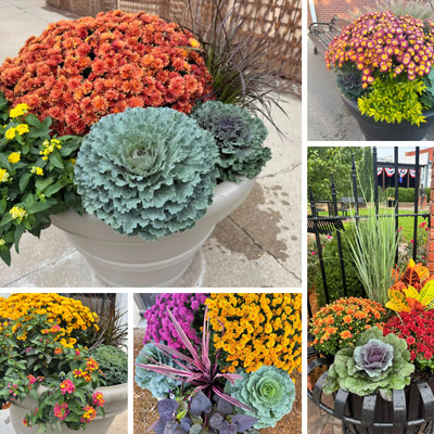 2025 Parks Department Beautification